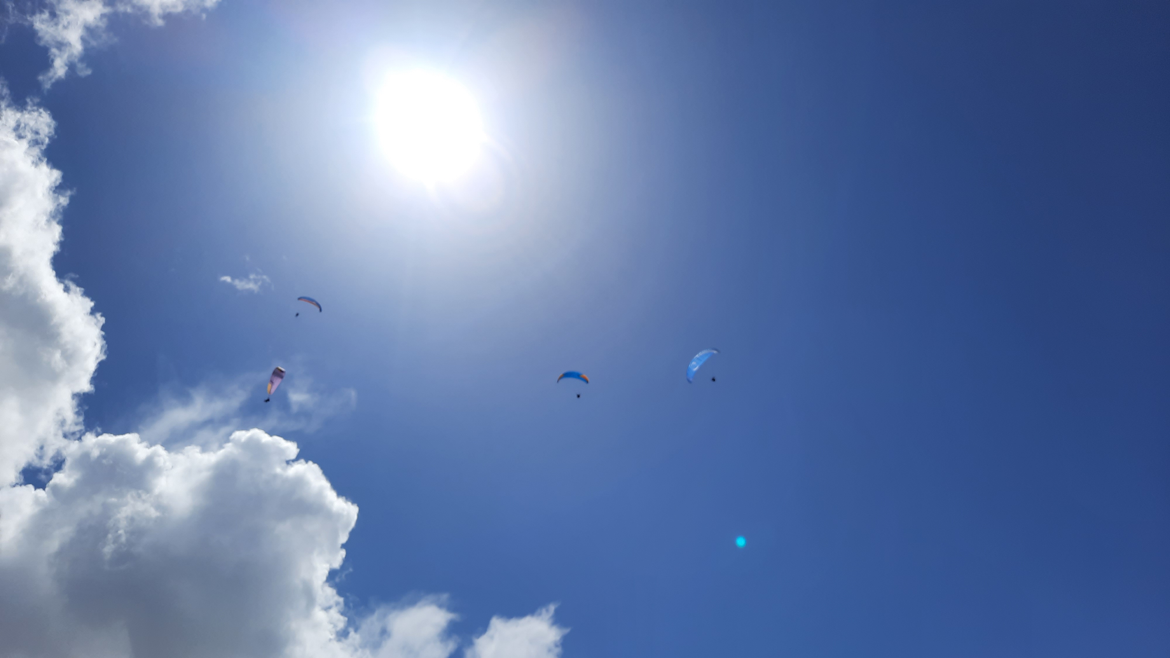 paragliding in gudauri