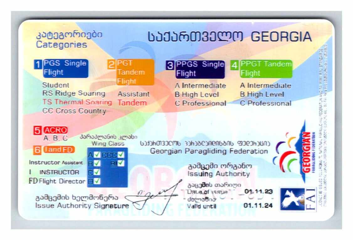 paragliding pilot licence